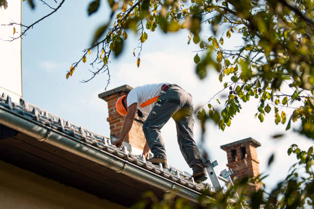 Best Storm Damage Roof Repair  in Antioch, IL