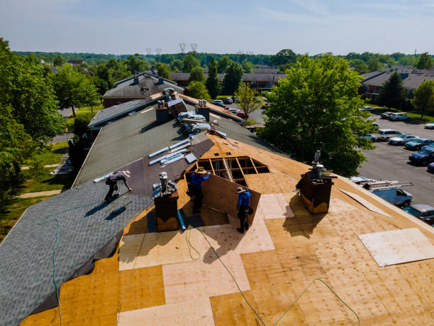 Best Commercial Roofing Services  in Antioch, IL