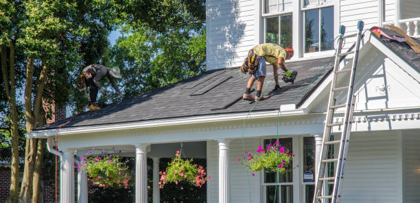 Best Roof Gutter Cleaning  in Antioch, IL